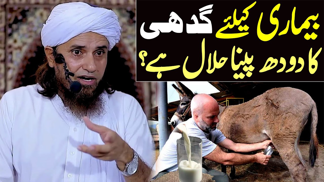 Bimari Ke Liye Gadhi Ka Doodh Peena Halal Hai ? | Mufti Tariq Masood Special | Bimari ka ilaj